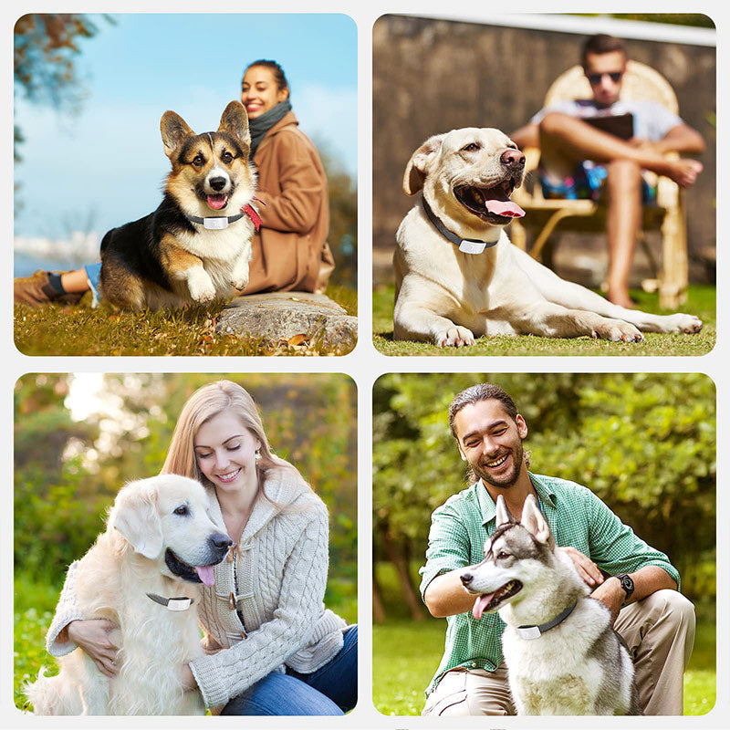Barkiverse™ CalmPaw Bark Collar