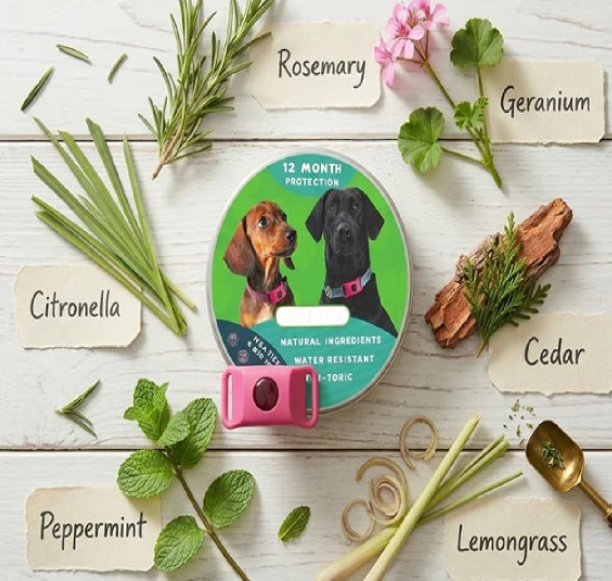๐12 Months Flea and Tick Free