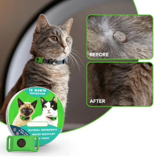 🐕12 Months Flea and Tick Free