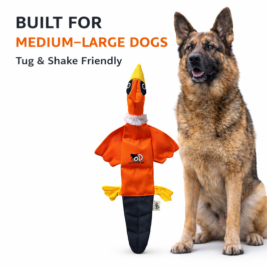 Petlori™ TrustyChew Canvas Duck
