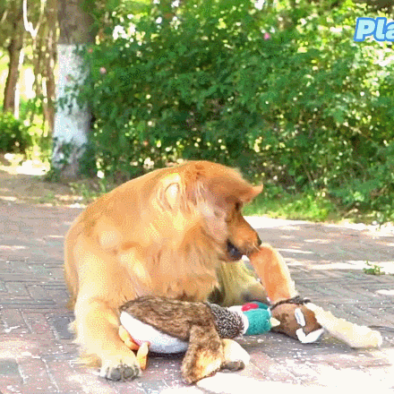 Petlori™ TrustyChew Wild Duck
