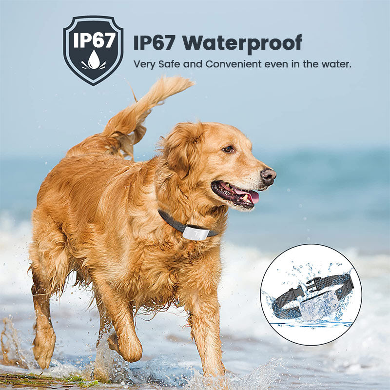Barkiverse™ CalmPaw Bark Collar