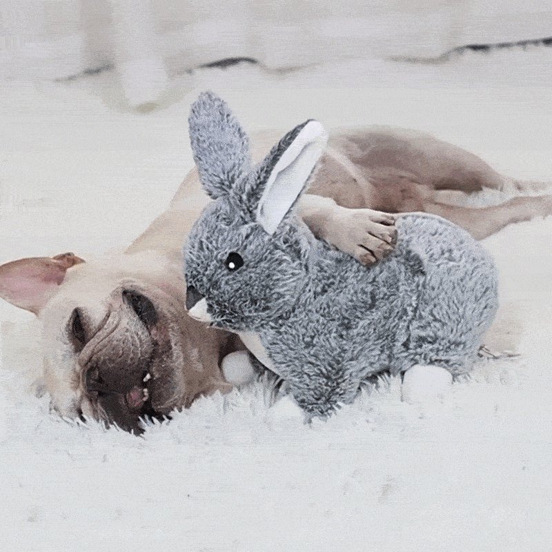 Petsume™ SoothBeat Soft Rabbit