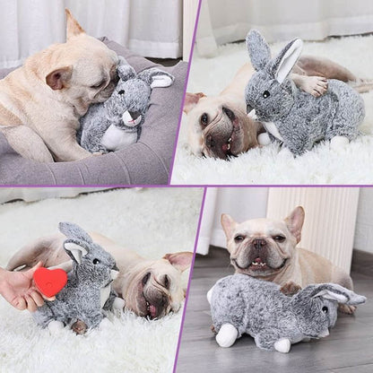 Petsume™ SoothBeat Soft Rabbit