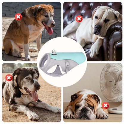Petsume™ DreamPaws Cooling Vest