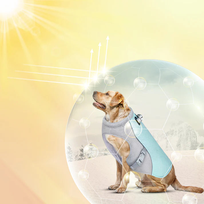 Petsume™ DreamPaws Cooling Vest