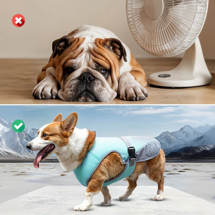 Petsume™ DreamPaws Cooling Vest