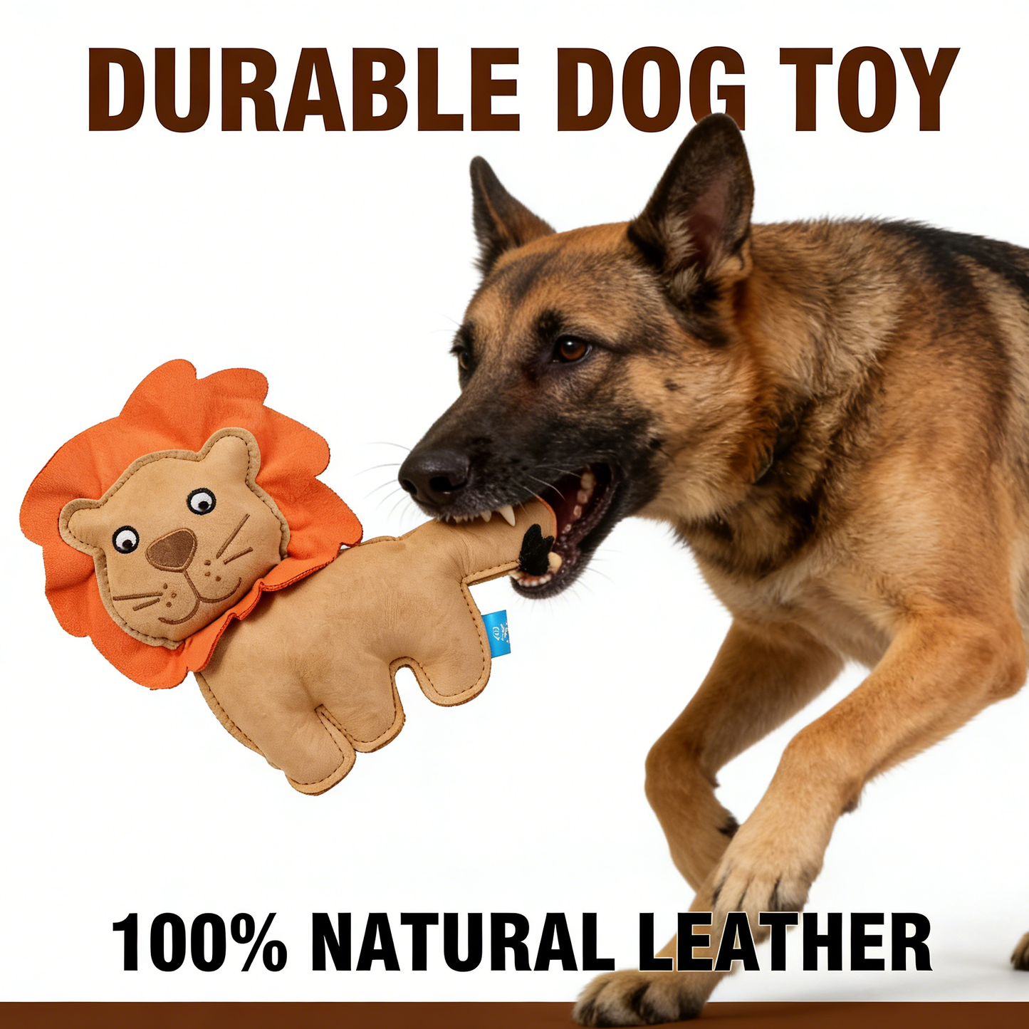 Petlori Q-monster Leather Chew