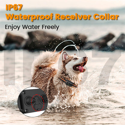 Barkiverse™ CalmPaw Collar