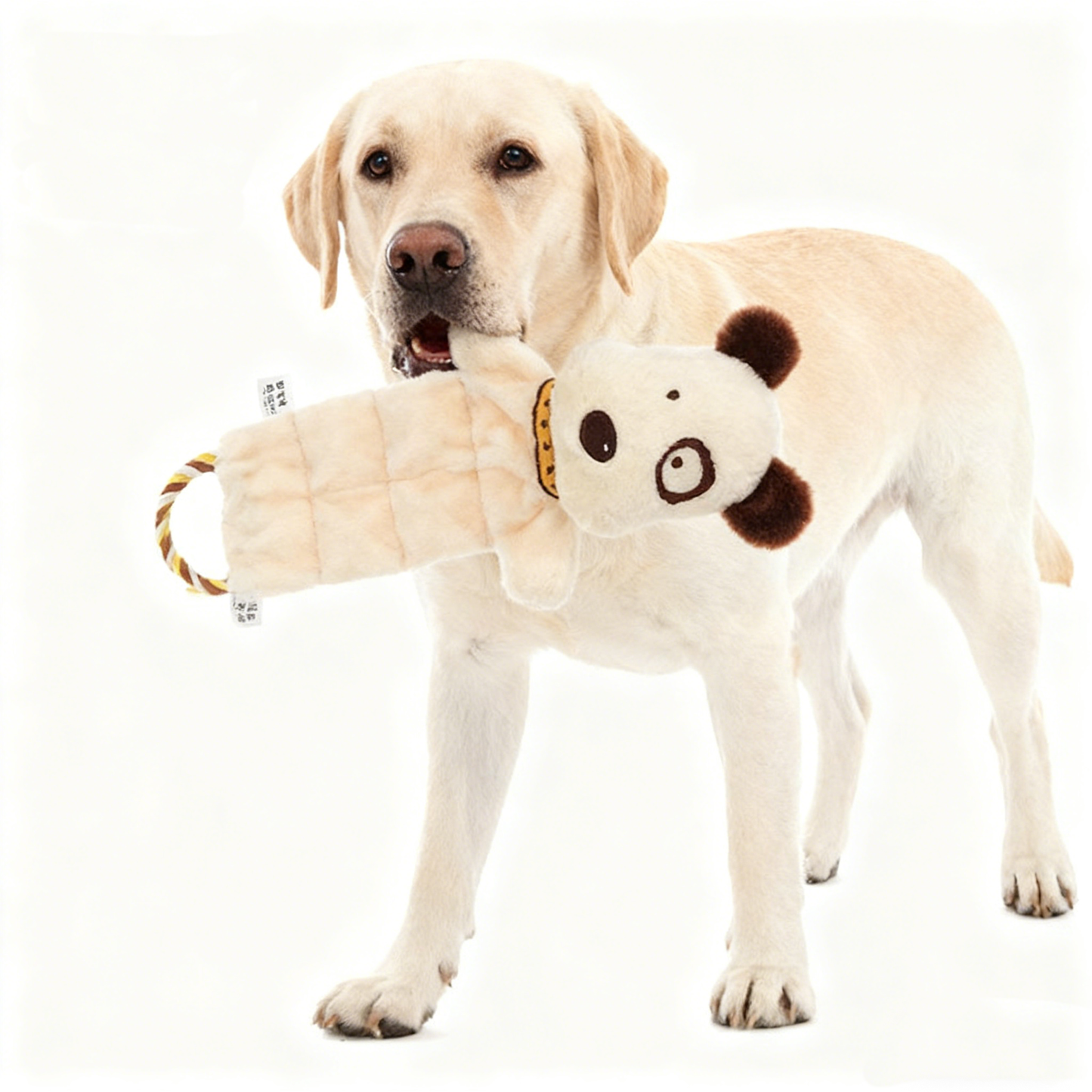 Petlori™ TrustyChew Squeaking Bully