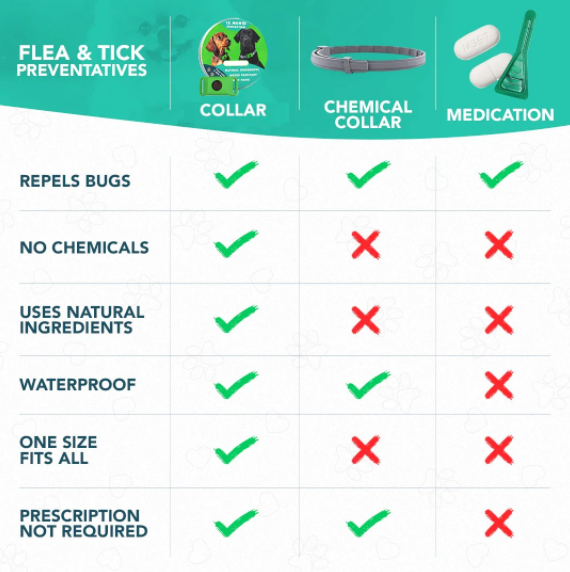 🐕12 Months Flea and Tick Free