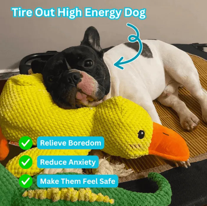 Petootsy™ ChewLine Calming Duck