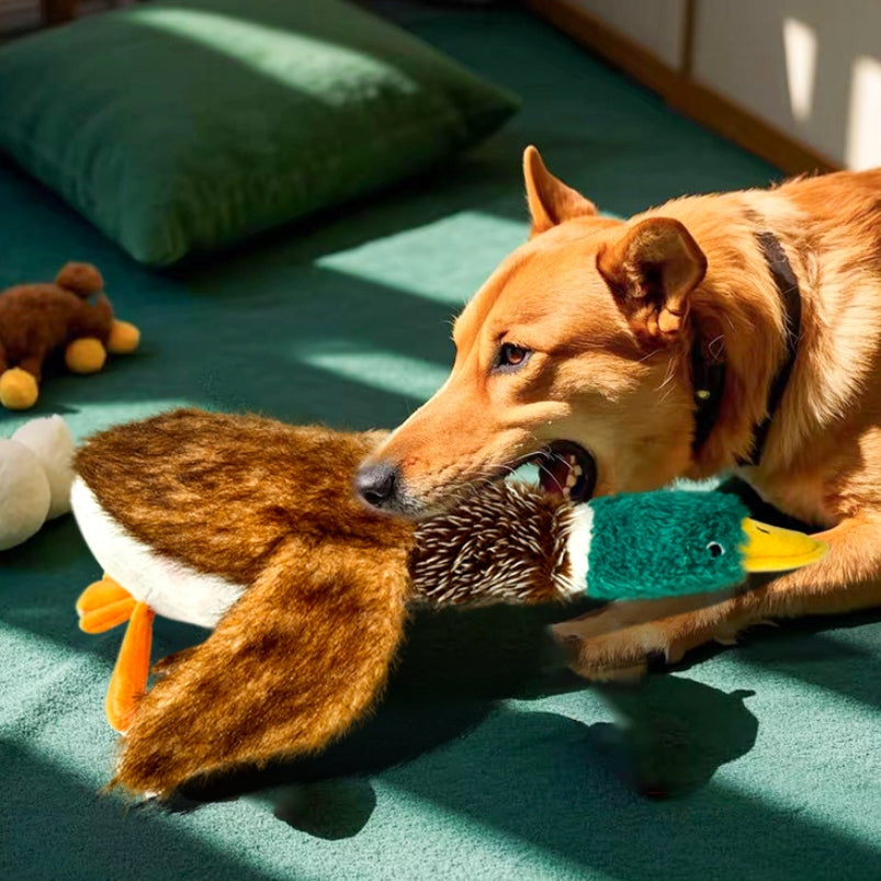 Petlori™ TrustyChew Wild Duck