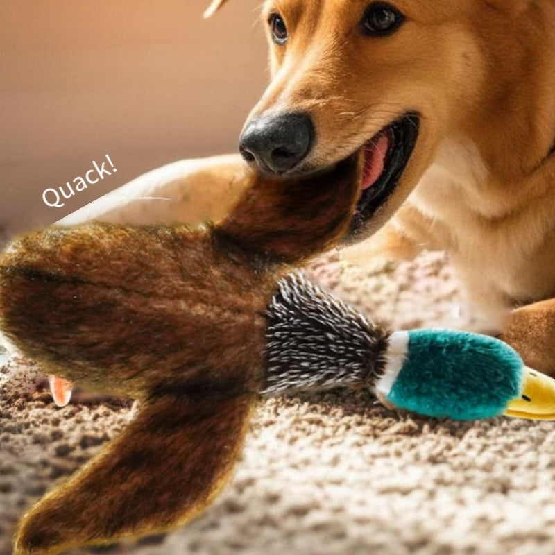 Petlori™ TrustyChew Wild Duck