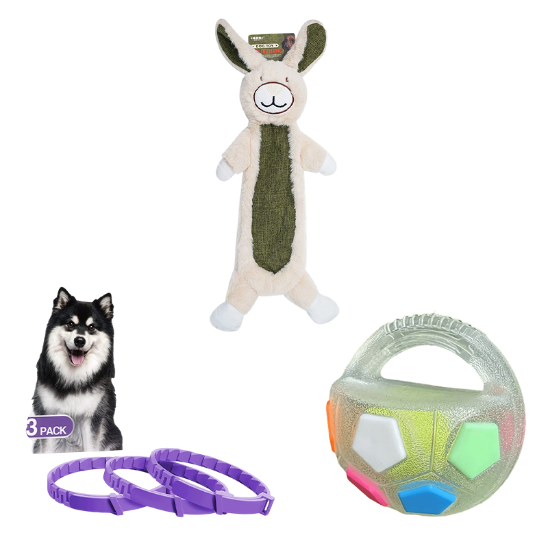 Petlori TrustyChew™ (Medium)