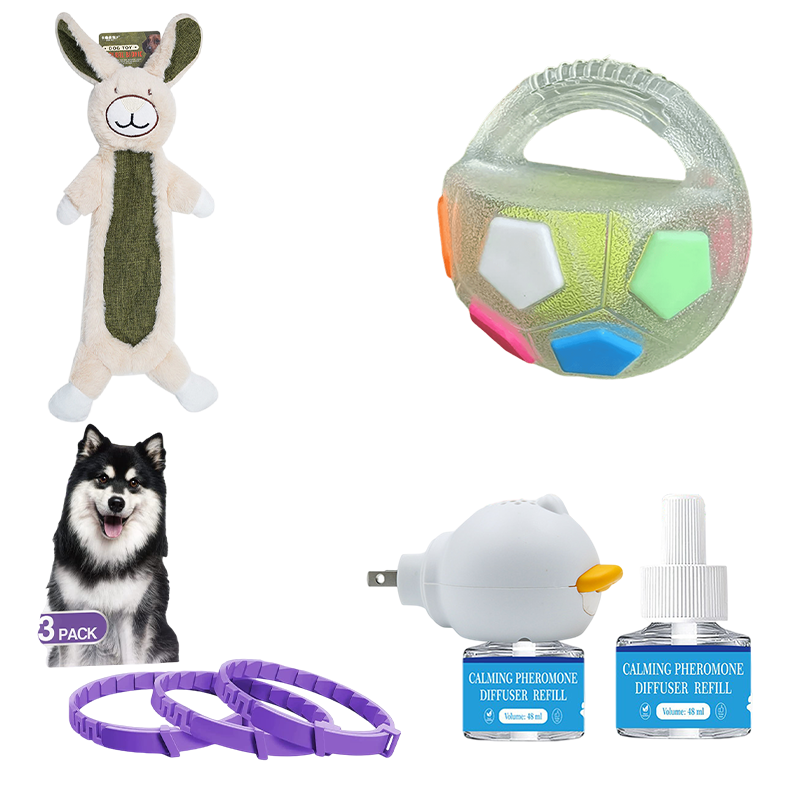 Petlori TrustyChew™ (Medium)