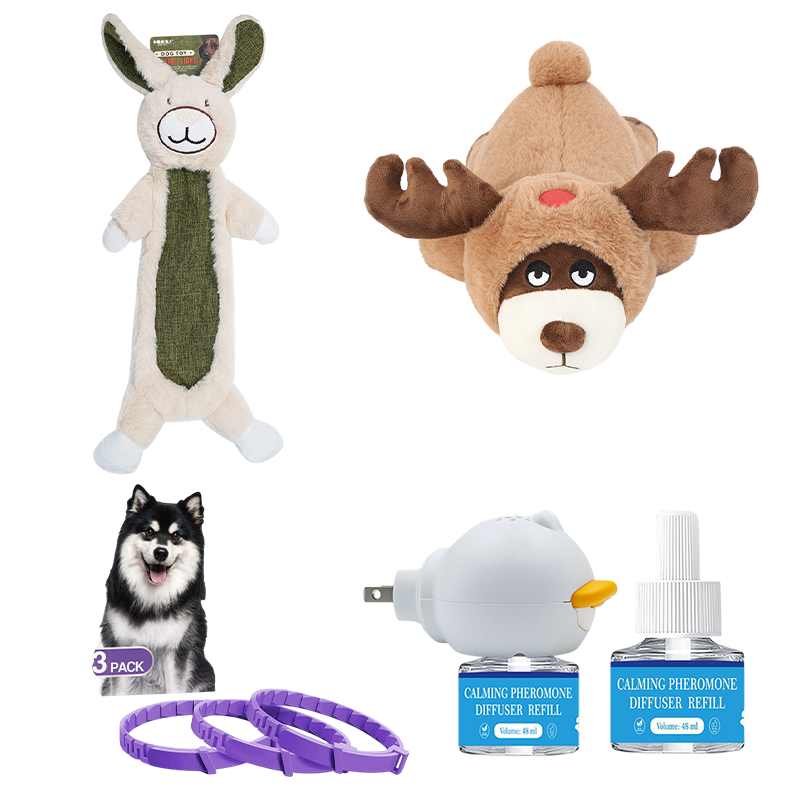 Petlori TrustyChew™ (Small)