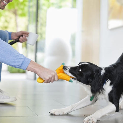 Petlori™ TrustyChew squeaker Series