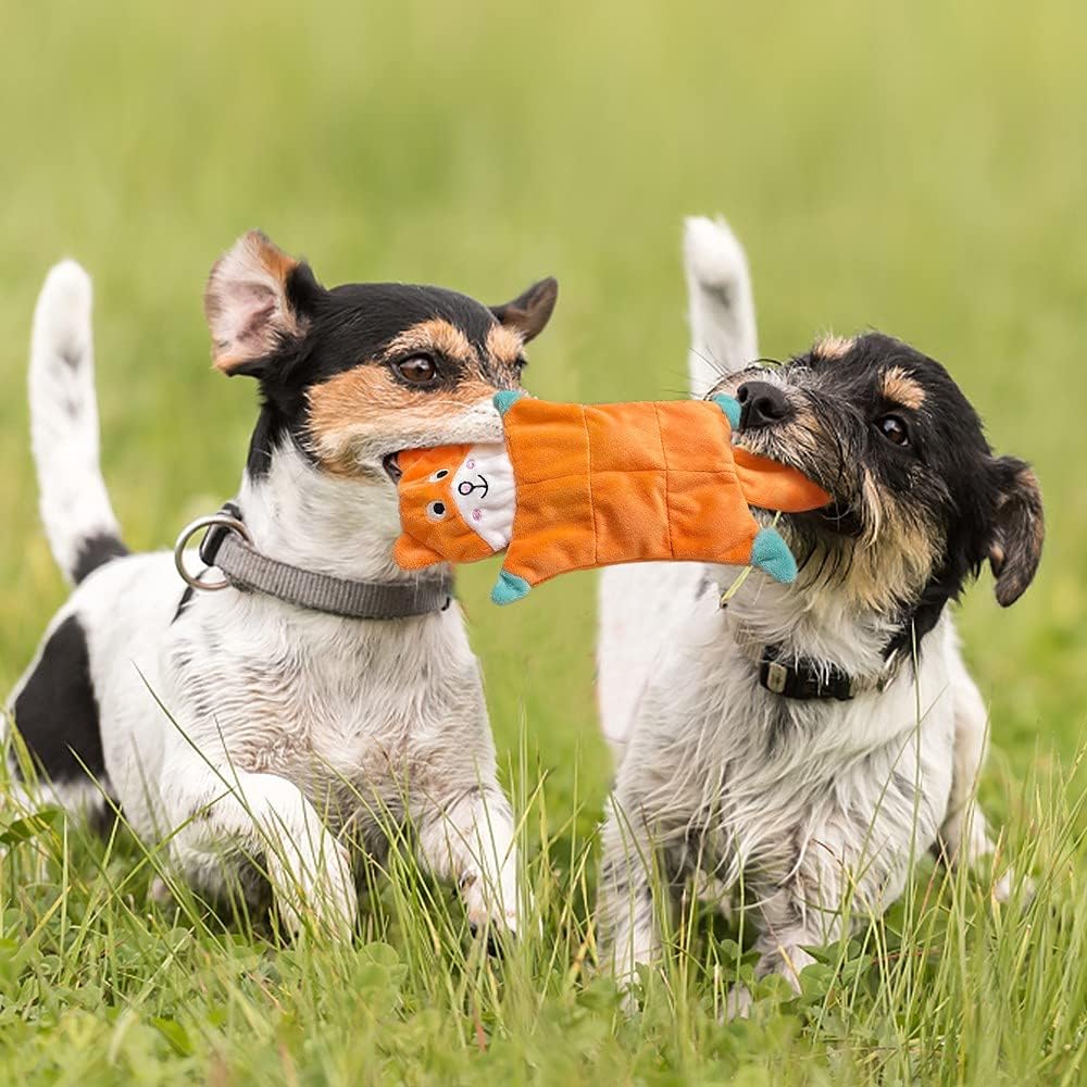 Petlori™ TrustyChew squeaker Series