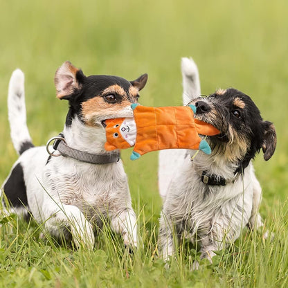 Petlori™ TrustyChew squeaker Series
