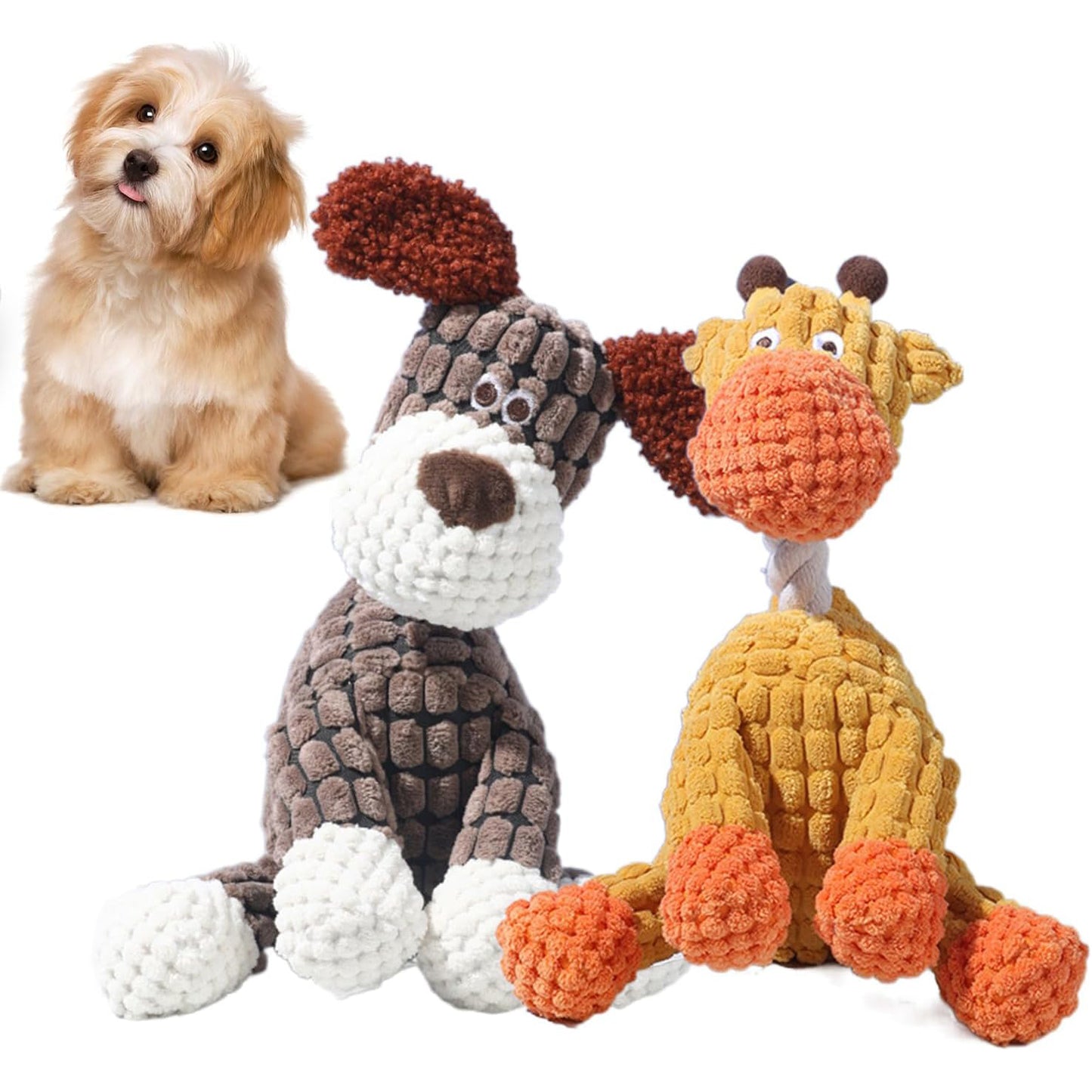 Petootsy™ChewLine Squeaky Toys 2Pack