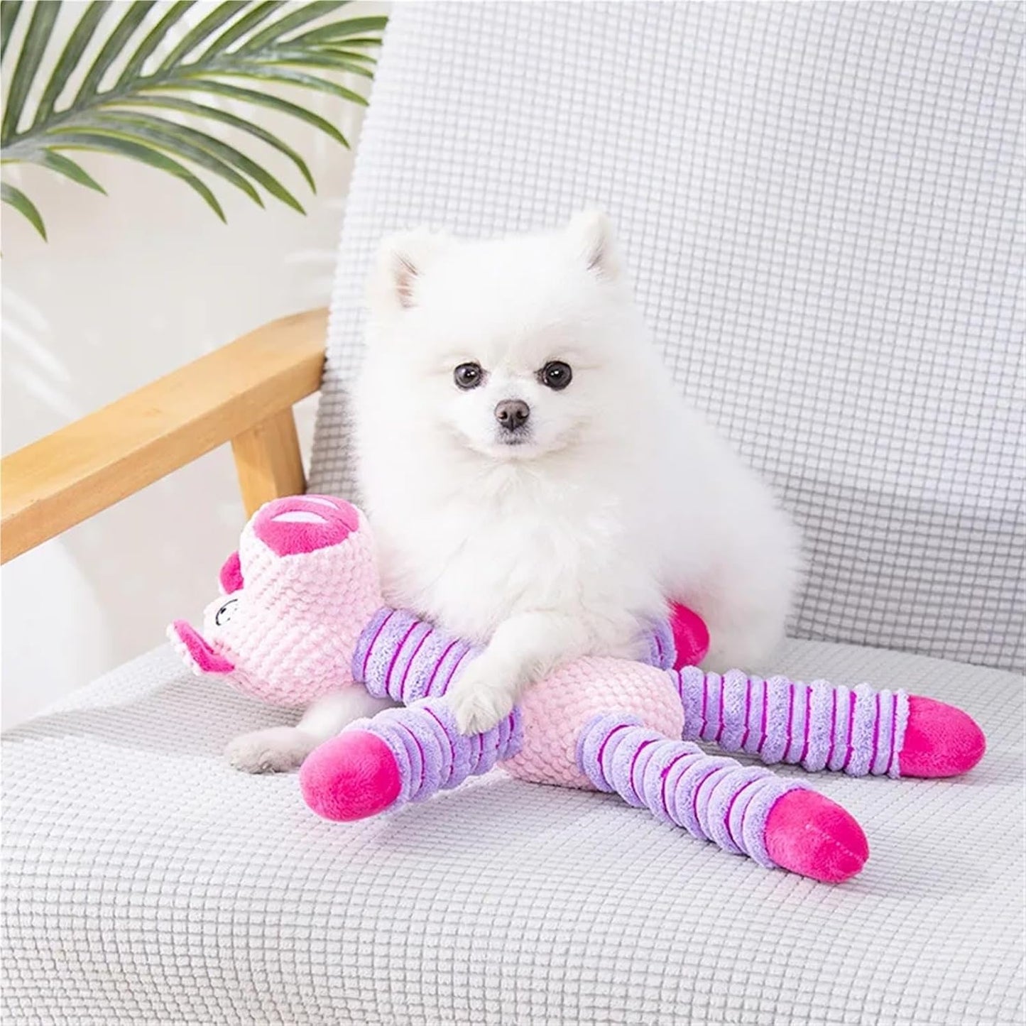 Petootsy™ ChewLine Tug elephant