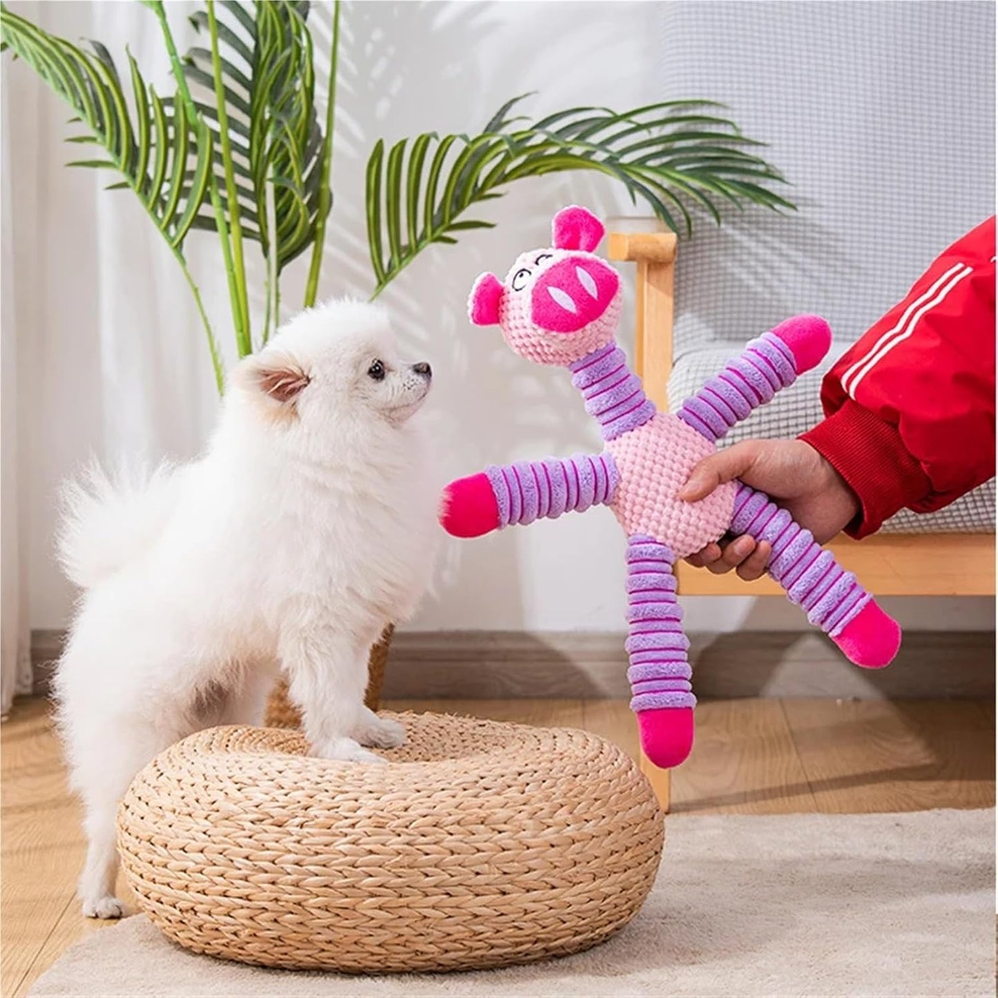 Petootsy™ ChewLine Tug elephant