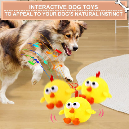 Petsume™ Zoomigo Jumping Chicken
