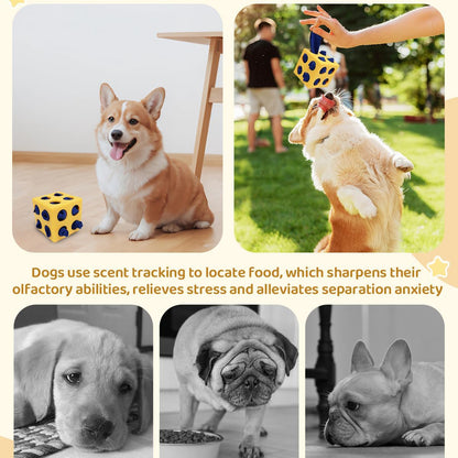 Petootsy™ TitanChew PuzzlePup Cube