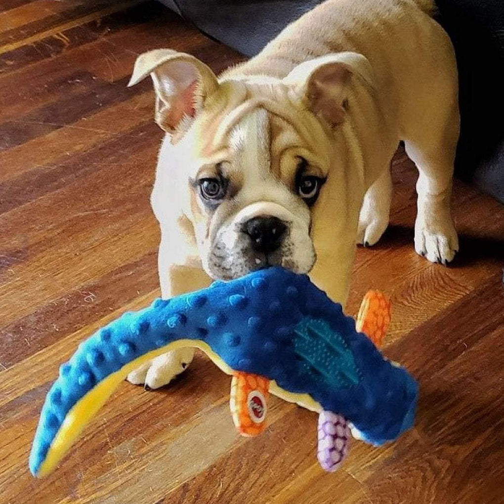 Petlori™ TrustyChew lizard 24"