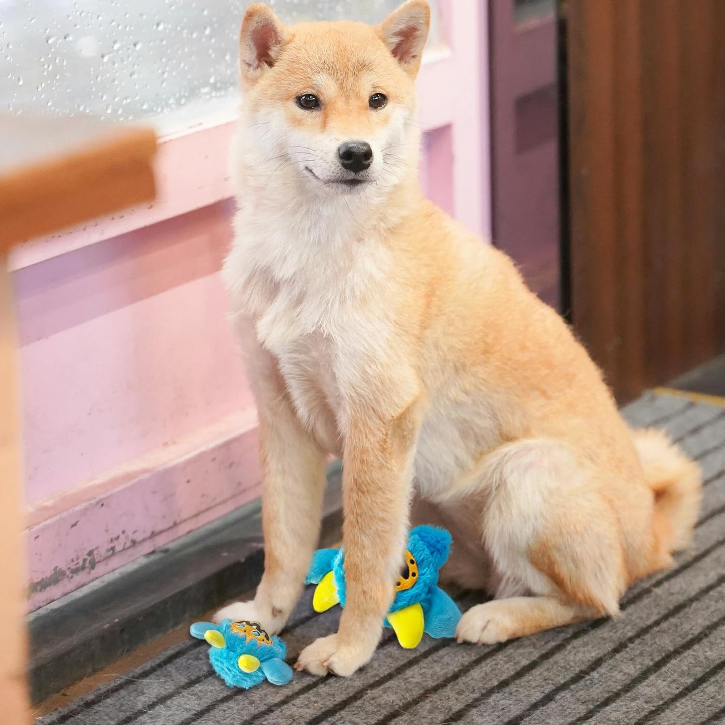 Petlori™ TrustyChew Squeaky Monster Ball