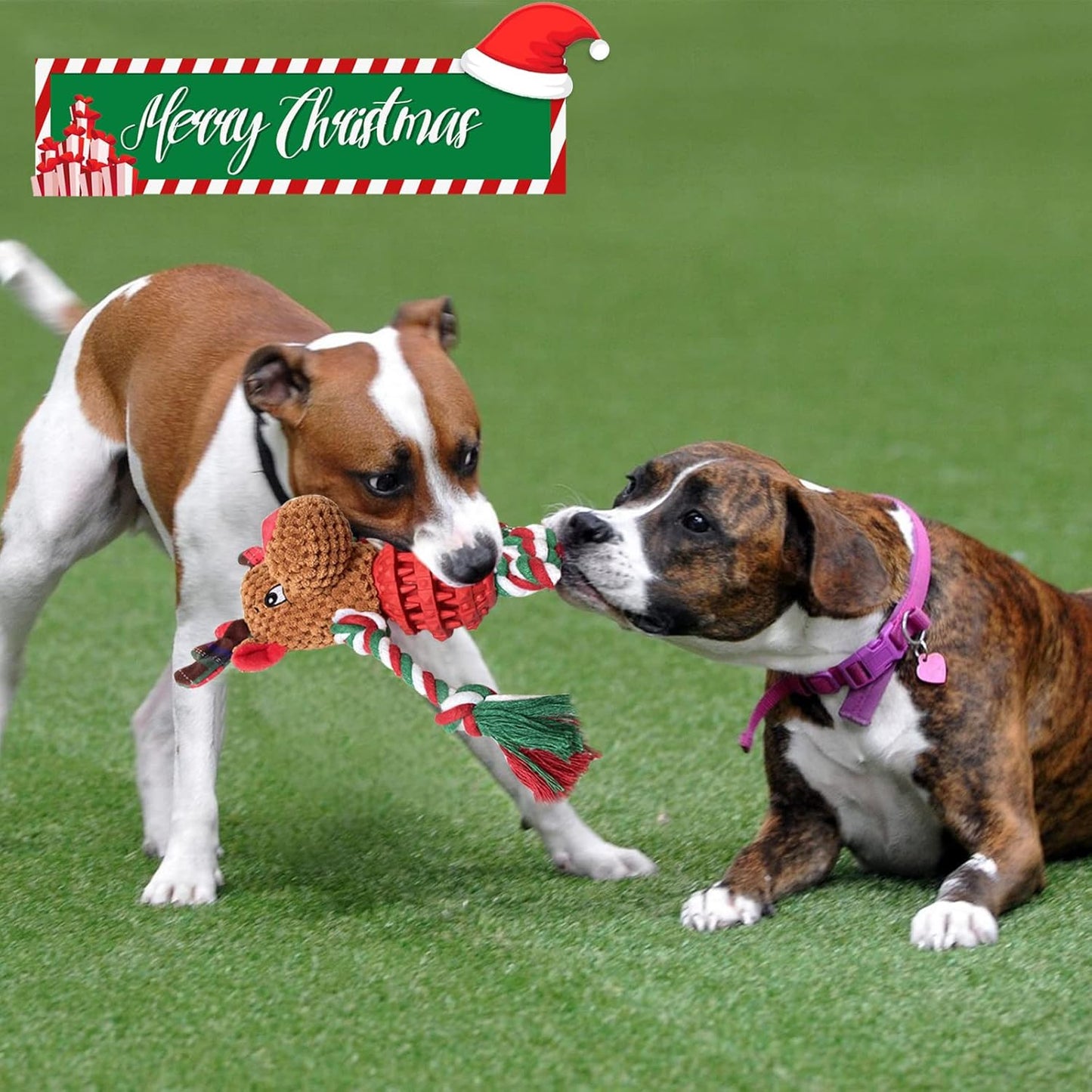 Petootsy™ ChewLine Christmas Reindeer
