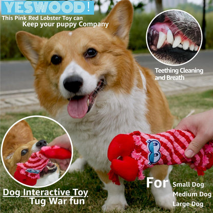 Petlori™ TrustyChew Crocodile