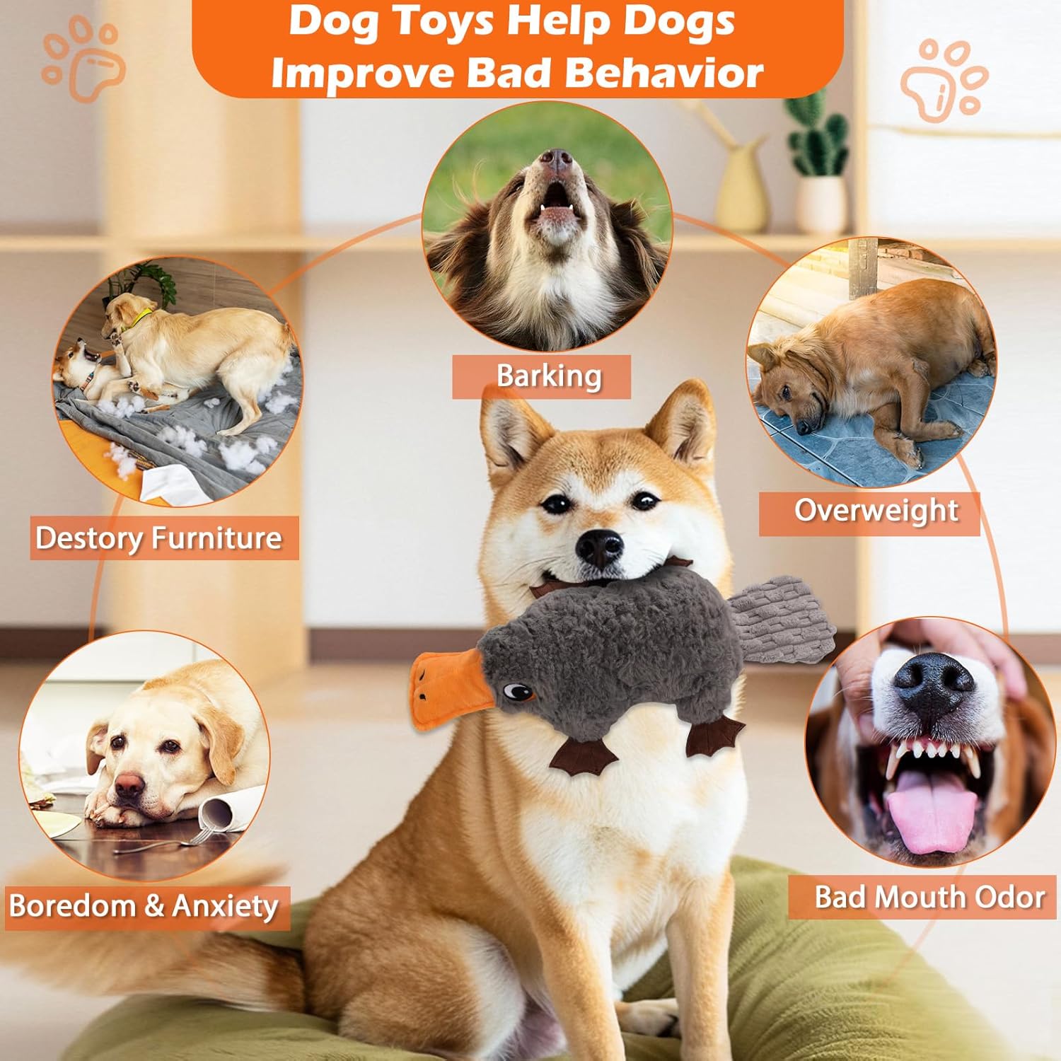 Petlori™ TrustyChew Platypus