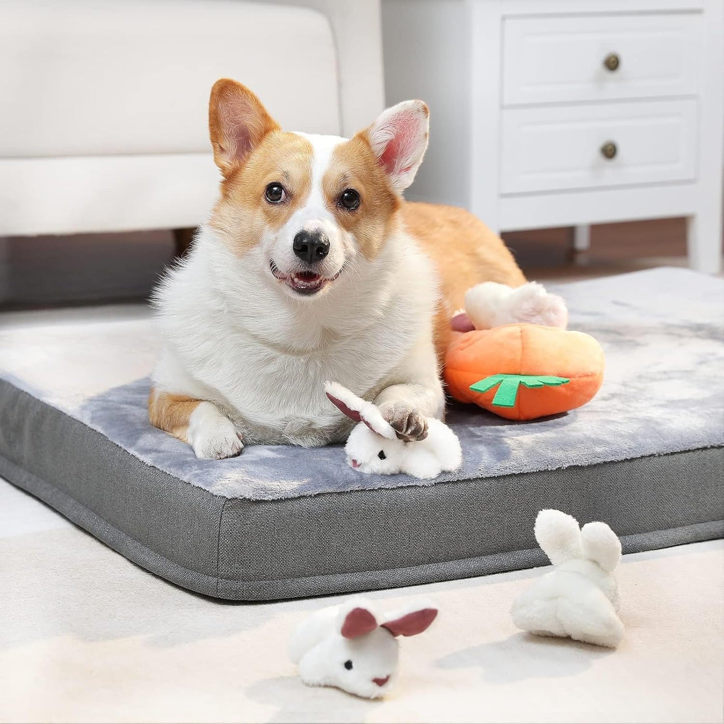 Petsume™ Squeaky Plush Toy