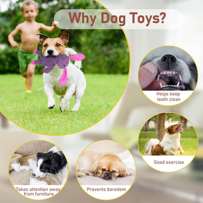petootsy™ chewline Cute Squeaky Toys