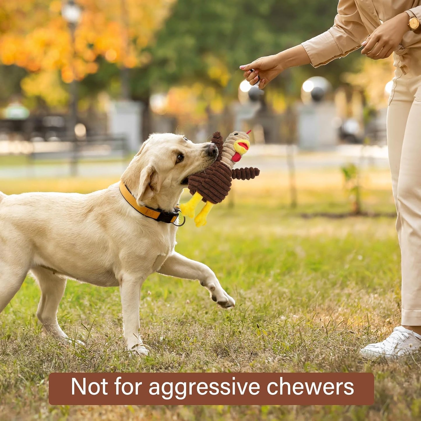 petootsy™ chewline Cute Squeaky Toys