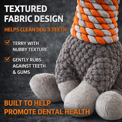 Petlori™ ChewLine Raccoon and Giraffe