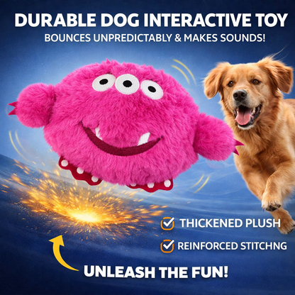 Petlori™ BounceBuddy