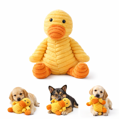 Petlori Textured Chew Companions