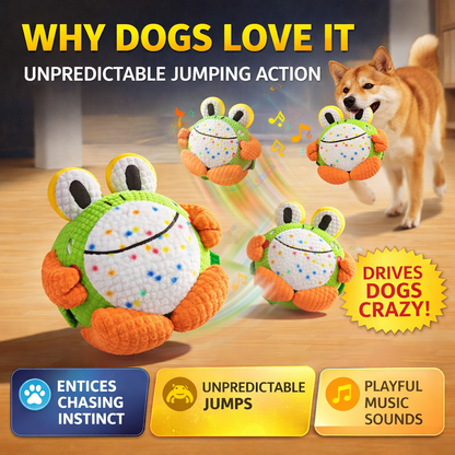 Petlori™ HopChase Ball