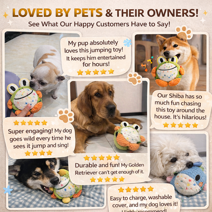 Petlori™ HopChase Ball