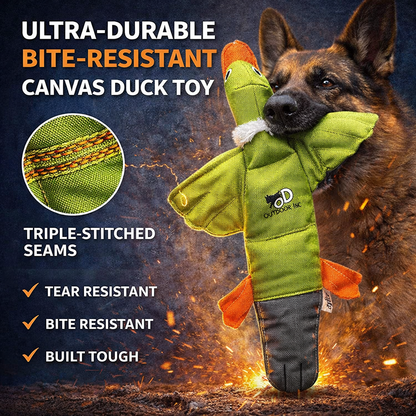 Petlori™ TrustyChew Canvas Duck