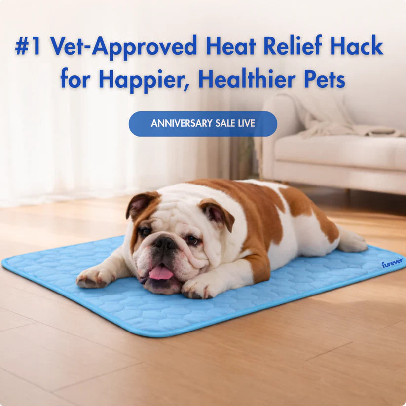 Petsume™ DreamPaws CoolBreath Mat