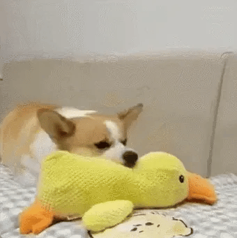 Petootsy™ ChewLine Calming Duck