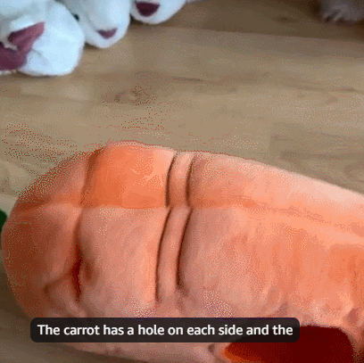 Petsume™ Squeaky Plush Toy