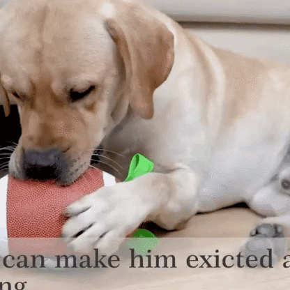 Petsume™ Zoomigo Superbowl Football