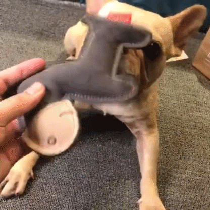Petlori™ ChewLine Natural Leather