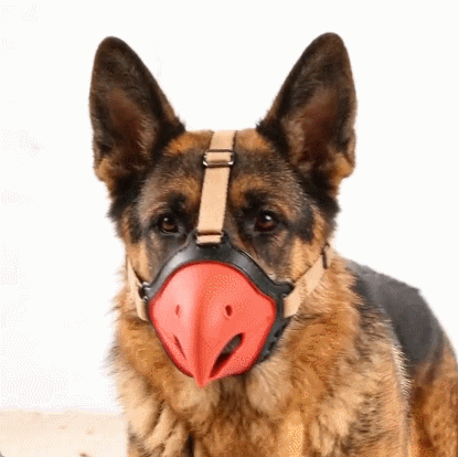 Petlori™ ParrotBeak Dog Muzzle
