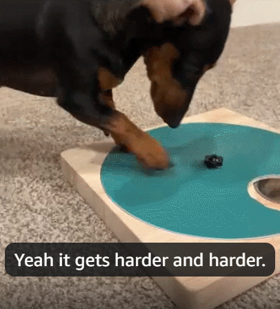 Petlori™ 6-Bowl Gourmet Scratch Board